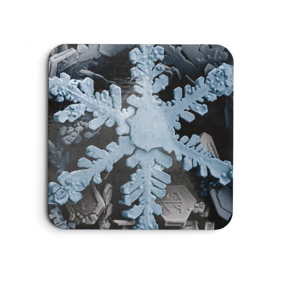 SEM Snowflake Image Coasters (6 Pack)
