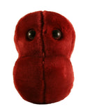 Sore Throat (Streptococcus pyogenes) - GIANTmicrobes® Plush Toy  - LabRatGifts - 2