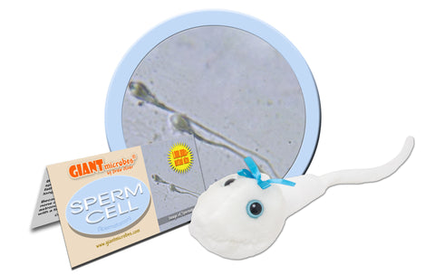 Sperm Cell (Spermatozoon) - GIANTmicrobes® Plush Toy Default Title - LabRatGifts - 1