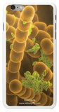 "Stamens" - iPhone 6/6s Plus Case Default Title - LabRatGifts - 2