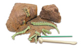 "T-Rex Dinosaur DNA" - Science Kit  - LabRatGifts - 4