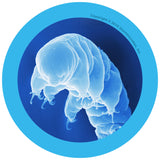 Water Bear (Hypsibius Dujardini) - GIANTmicrobes® Plush Toy  - LabRatGifts - 3