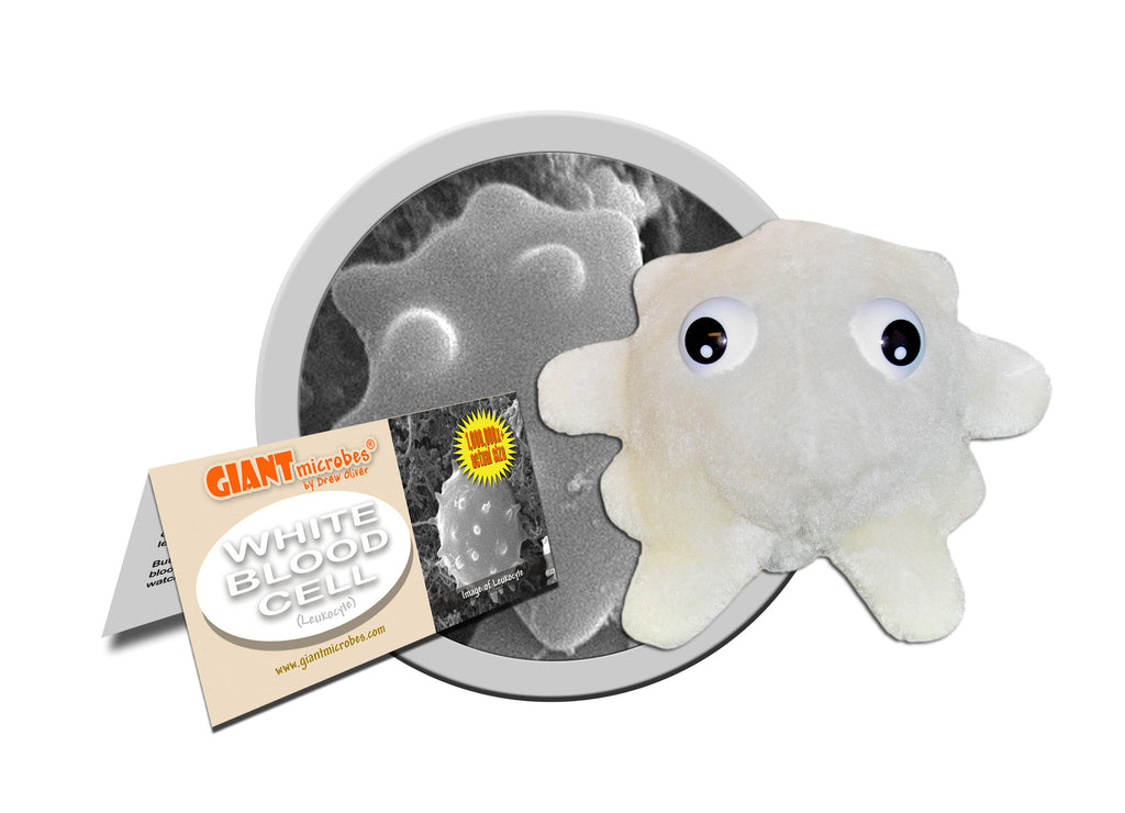White Blood Cell (Leukocyte) - GIANTmicrobes® Plush Toy Default Title - LabRatGifts - 1