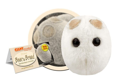 Beer & Bread (Saccharomyces Cerevisiae) - GIANTmicrobes® Plush Toy