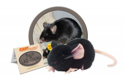 Black Lab Mouse - GIANTmicrobes® Plush Toy  - LabRatGifts