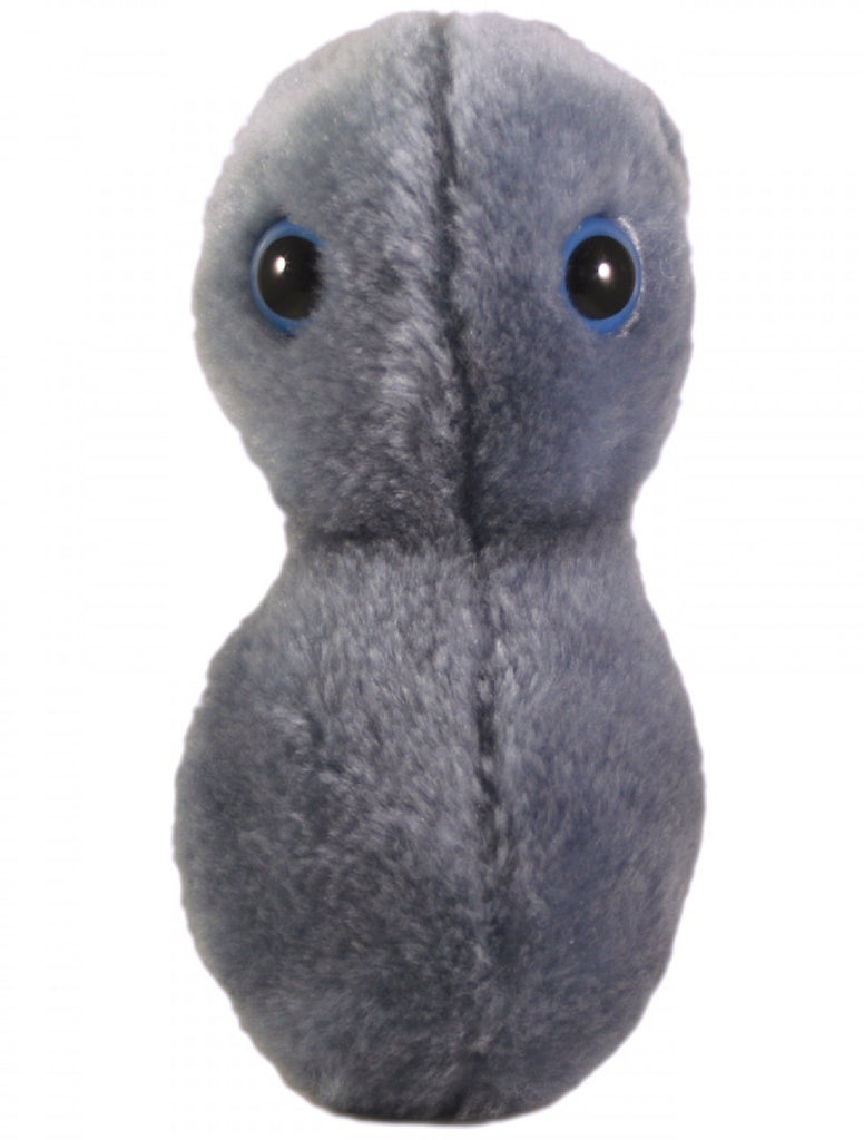 The Clap - Gonorrhea (Neisseria Gonorrhoeae) - GIANTmicrobes® Keychain  - LabRatGifts