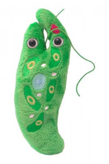 Euglena (Euglena Gracilis) - GIANTmicrobes® Plush Toy  - LabRatGifts - 1