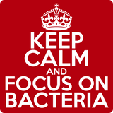 "Keep Calm and Focus On Bacteria" (white) - Men's T-Shirt  - LabRatGifts - 12
