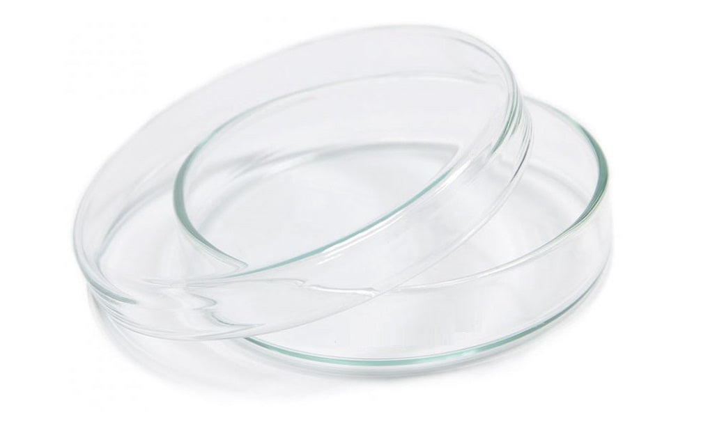 Borosil® Glass Petri Dishes with Covers, 200mm x 20mm (OD x H), CS/10