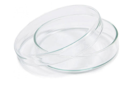 Borosil® Glass Petri Dishes with Covers, 80mm x 17mm (OD x H), CS/100