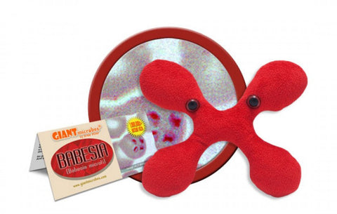 Babesia (Babesia microti) - GIANTmicrobes® Plush Toy  - LabRatGifts - 1
