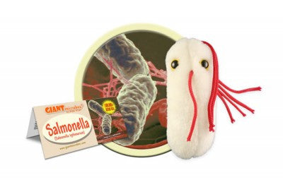 Salmonella (Salmonella Typhimurium) - GIANTmicrobes® Plush Toy  - LabRatGifts - 1