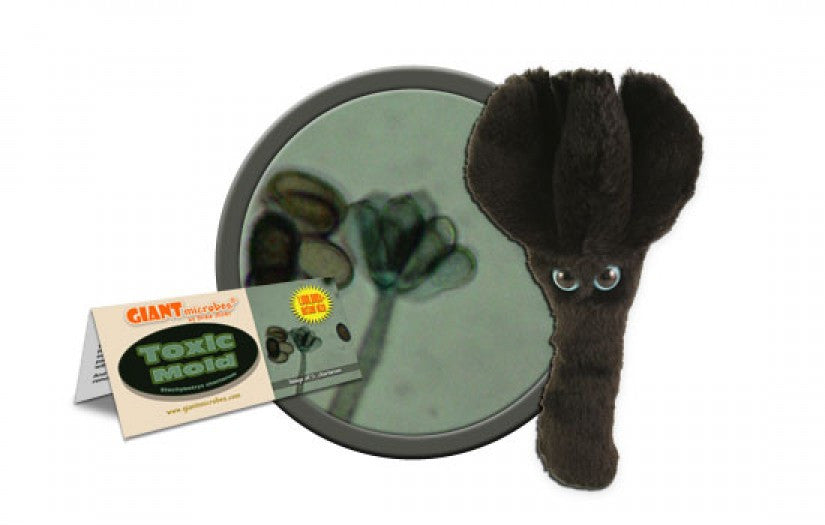 Toxic Mold (Stachybotrys Chartarum) - GIANTmicrobes® Plush Toy  - LabRatGifts - 1