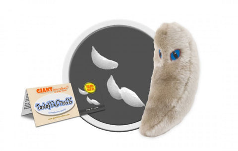 Toxoplasmosis (Toxoplasma Gondii) - GIANTmicrobes® Plush Toy  - LabRatGifts - 1