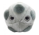 HPV (Human papillomavirus) - GIANTmicrobes® Plush Toy  - LabRatGifts - 2