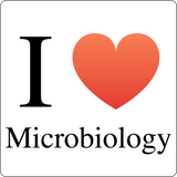 "I ♥ Microbiology" (black) - Men's T-Shirt  - LabRatGifts - 12