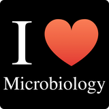 "I ♥ Microbiology" (white) - Men's T-Shirt  - LabRatGifts - 12