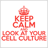 "Keep Calm and Look At Your Cell Culture" (red) - Men's T-Shirt  - LabRatGifts - 14