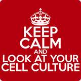 "Keep Calm and Look At Your Cell Culture" (white) - Men's T-Shirt  - LabRatGifts - 12