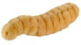 Maggot (Lucilia sericata) - GIANTmicrobes® Plush Toy  - LabRatGifts - 2