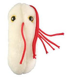 Salmonella (Salmonella Typhimurium) - GIANTmicrobes® Plush Toy  - LabRatGifts - 2