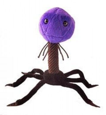 T4 (T4-Bacteriophage) - GIANTmicrobes® Plush Toy