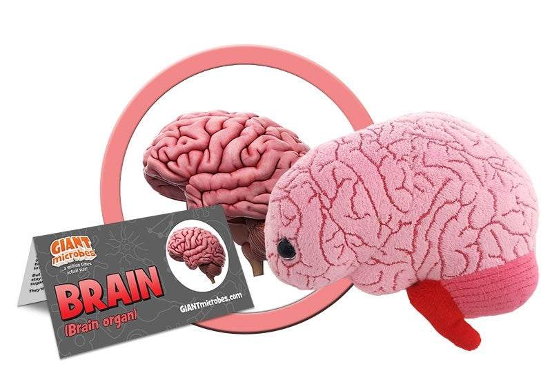 Brain - GIANTmicrobes® Plush Toy