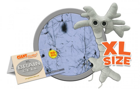 Brain Cell (Neuron) XL Size - GIANTmicrobes® Plush Toy  - LabRatGifts - 1