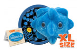 Common Cold (Rhinovirus) XL Size - GIANTmicrobes® Plush Toy  - LabRatGifts - 1